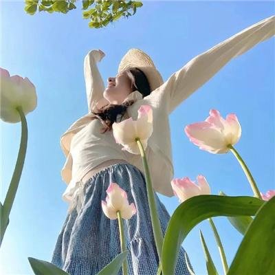 鸟瞰人生