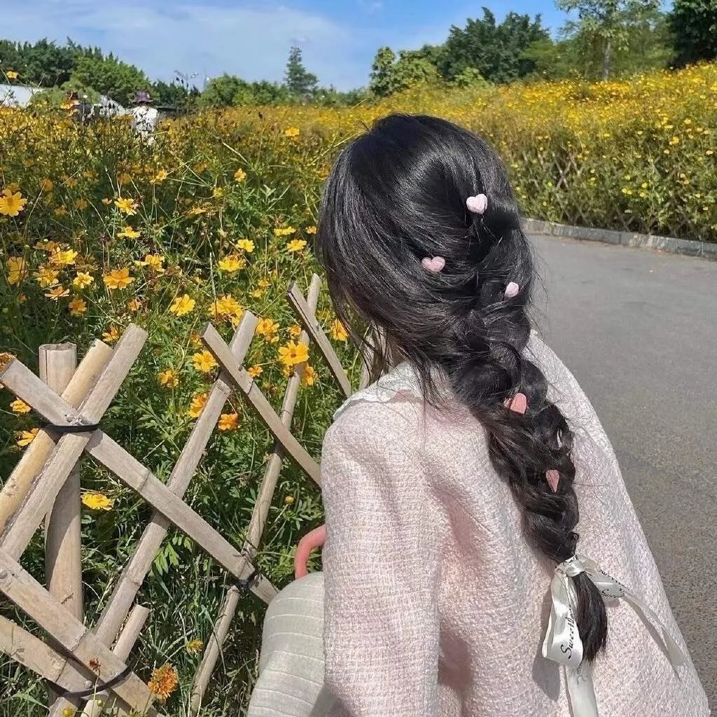 梅子鸡之味